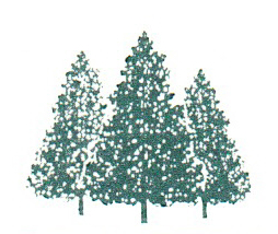 Sterling Forest Partnership tree logo